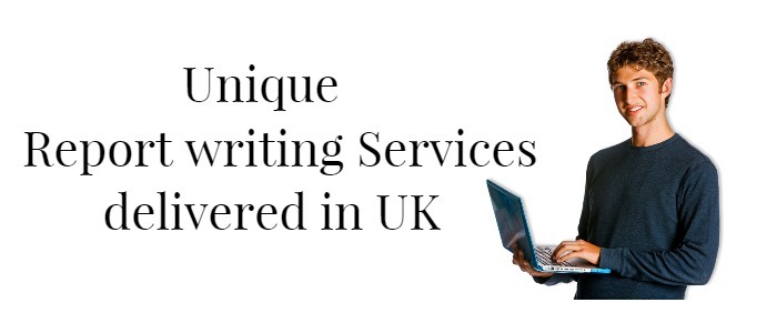 Report Writing Services